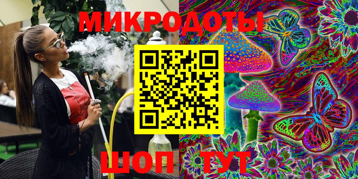 Псилоцибиновые грибы Cubensis Абакан