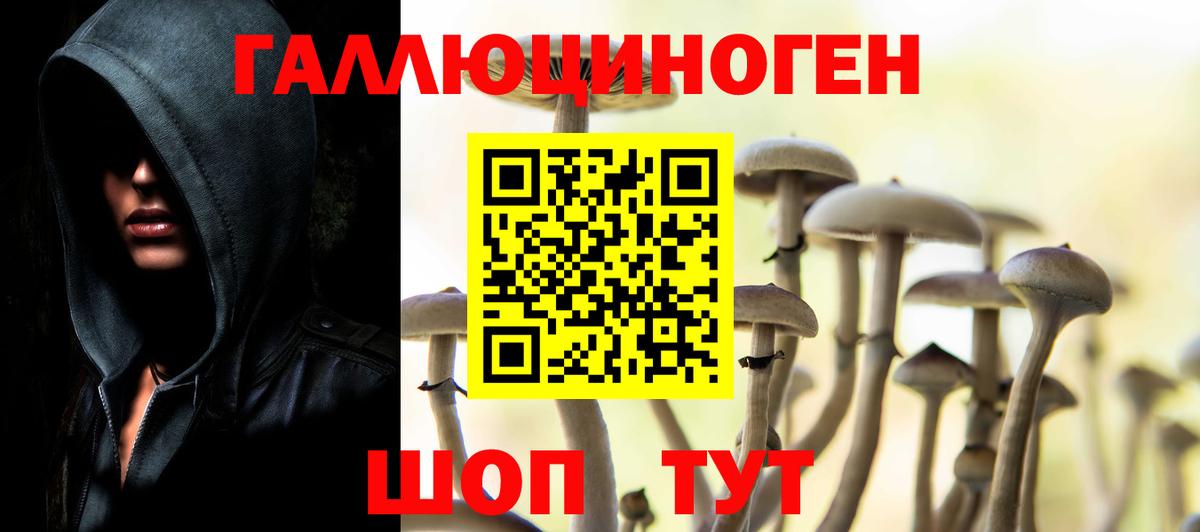 Псилоцибиновые грибы MAGIC MUSHROOMS  Псилоцибиновые грибы мухоморы  Вход с VPN  Абакан 
